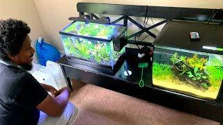 he found his happy place… Peaceful Planted Aquariums