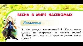 Окружающий мир 2 класс ч.2 Перспектива с.82-85 тема урока Весна в мире насекомых