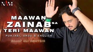 Maawan Zainab as Teri Maawan  Najaf Ali Muntzir Nohay 2023  Muharram 20231445