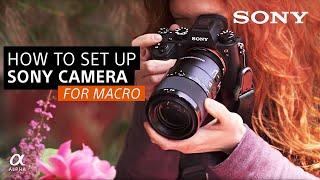 How To Set Up Your Sony Camera For Macro  Sony Alpha Universe