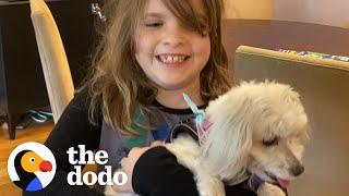 Dad Finds His Daughter The Perfect Rescue Dog  The Dodo