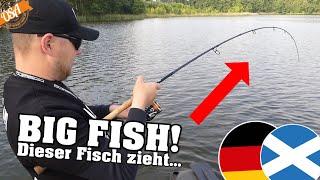 Diesen Fisch haben wir nicht erwartet Starker Auftakt bei der EM 2024 Deutschland vs. Schottland