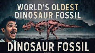 मांसाहारी डायनासोर के कंकाल देखा गया यहाँ Worlds Oldest Dinosaur Fossils