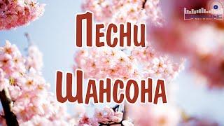 ЛУЧШИЕ ПЕСНИ ШАНСОНА 2024 #52  Шансон 2024 Новые Песни Года  Шансон для Души 2024 