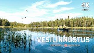 Vesilintujen Metsästys 2019  Waterfowl Hunting  Dragonfly Erävideot