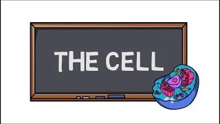 The Cell  Discovery of first Cell  Cell Theory 