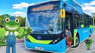 Bus Videos For Children  Geckos Real Vehicles