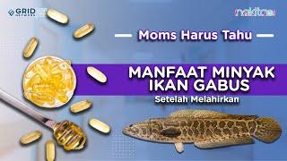 Manfaat Minyak Ikan Gabus Setelah Melahirkan