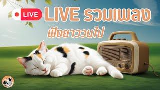 Live V.2 รวมเพลงมาให้ ฟังวนยาวๆ ต่อเนื่อง เพลงเพราะฟังเพลิน ชิลๆ #เพลงฮิต