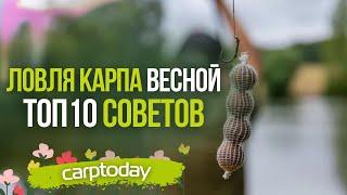 ТОП 10 СОВЕТОВ по ЛОВЛЕ КАРПА ВЕСНОЙ Прикормка  Насадка  Выбор места  Монтаж  Тактика