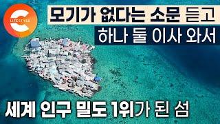 모기도 없고 범죄도 없는 섬에 우르르 이사.. 200년 전 한 어부가 우연히 발견한 곳인데 이제는 지구상에서 인구 밀도 1위 I 3천평 땅에 1200명이 사는 산타크루스섬