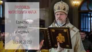 Проповедь митрополита МАРКА. Единство живых и мёртвых 03.06.2023 г.