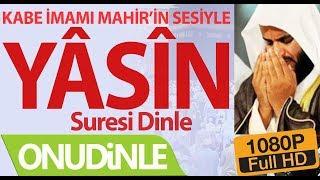 Yasin suresi dinle - Kabe imamı Mahir