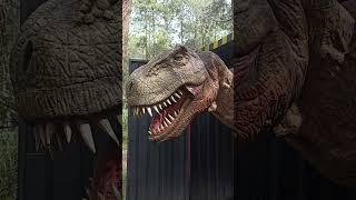 Dinosaurus keluar dari kandang