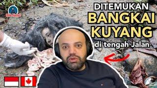 Penemuan Bangkai Kuyang Wanita Cantik gegerkan Warga  MR Halal Reaction