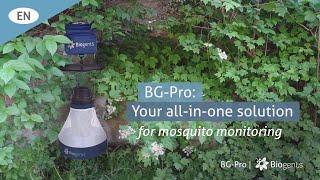 BG-Pro The All-in-One Trap for Researchers and Professionals