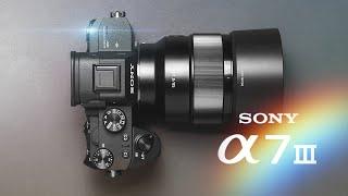 Sony A7III Review Should You Buy The Sony A7III in 2023?