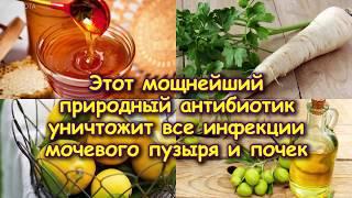 Этот мощнейший ПРИРОДНЫЙ AНTИ.БИO.TИK уничтожит ВСЕ ИНФЕКЦИИ МОЧЕВОГО ПУЗЫРЯ И ПОЧЕК