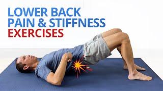 INSTANT RELIEF from Lower Back Pain and Stiffness 4 EASY Exercises