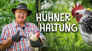 So kann jeder Hühner halten - Nutztierhaltung im eigenen Garten für den Selbstversorger