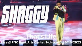 Shaggy - Thats Life Frank Sinatra LIVE @ PNC Bank Arts Center Holmdel NJ 6102023