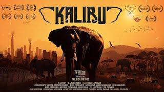 Kaliru  Human-Elephant Conflict in Tamil Nadu  Award-winning Documentary