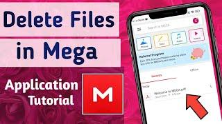 How to Delete Files & Clear Storage in Mega App