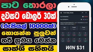 පාට තෝරලා දවසට රුපියල් 10000ක්    Make Dollar From Home  Coinvid Sinhala  Coinvid Payment Proof