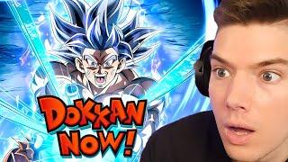 Global Exclusive 9th Anniversary Dokkan Now Reaction