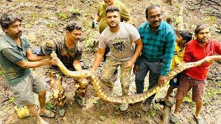 भारी भरकम अजगर की जान बचाई  INDIAN ROCK PYTHON RESCUE