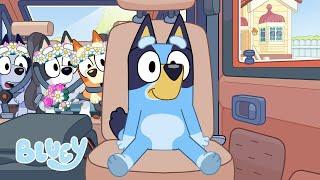 Melhores Jogos de Carro com Bluey    Diversão em Viagens  Bluey Português Brasil Canal Oficial