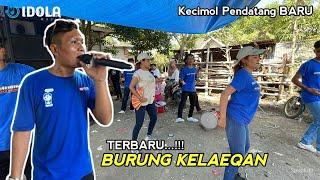 Spesial Buat  PENGANTIN BARU _BURUNG KELAEKAN Versi Terbaru IDOLA Musik