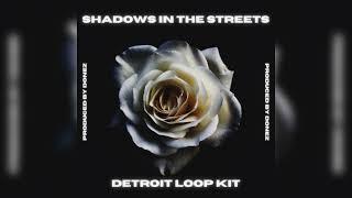 FREE Detroit Loop Kit 2022 - Shadows in The Streets  Flint Loop Kit 2022 10 Loops By Donez