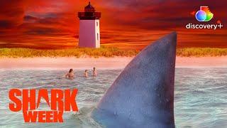 Fatal Great White Shark Attack in Cape Cod  Great White Intersection  discovery+