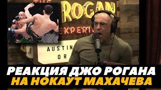 Реакция Джо Рогана на нокаут в бою Махачев - Волкановски 2  FightSpaceMMA