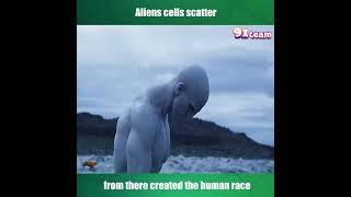 Do you believe the aliens are the origin of humanity?