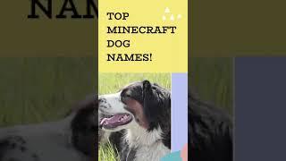 Minecraft Dog Names #shorts