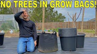 DONT Plant Fruit Trees In Fabric Grow Bags