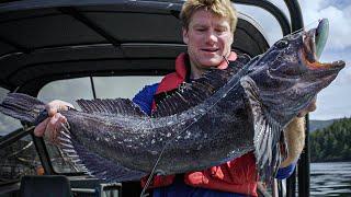 Man Eating Lingcod Searching for the Sea Monster  Captain Quinn