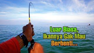 Resiko Lempar Umpan di Sarang Ikan IKANNYA PADA REBUTAN