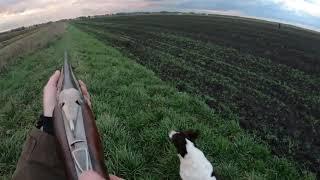 Hunting - Duck Hare Partridge