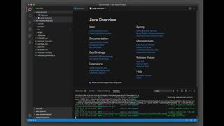 How to import and debug a Spring Boot Java Maven project in VS Code