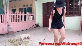 Beautiful single mother so cute Younger single mom sweeps around the house   HaTrang Channel