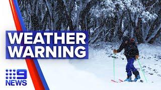 Heaviest snowfall prompts wild weather warning  9 News Australia