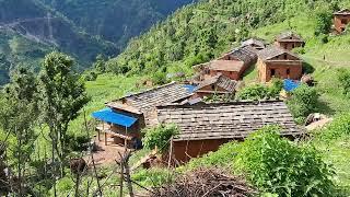 Very Beautiful Nepali Mountain Village Lifestyle in Nepal  Haven Nepal  Village Life of Nepal 