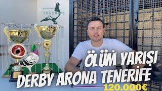 Derby Arona Tenerife 120.000€ Ödüllü Deniz Üstü Ölüm Yarışına 2 Kupalı Kuş Yolluyoruz.