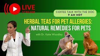 Herbal Teas for Pet Allergies Natural Remedies for Your Pets