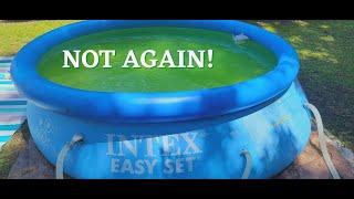 How to Fix GREEN Water in a SMALL Pool