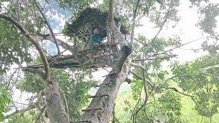 Survival challenge on the Big River sheltering in trees catching fish and cooking