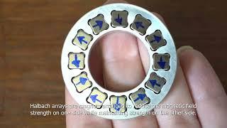 Circular Halbach using 12 rare earth magnets -  gyroscope.com